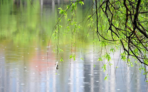雨中的守护者 —— 肃北珍珠棉的应用实践